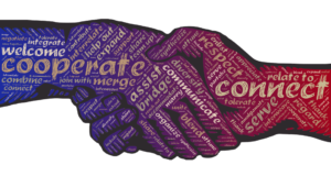 consumo colaborativo