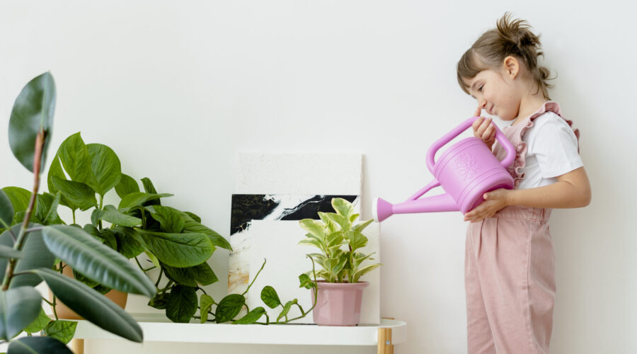 Cómo regar las plantas en vacaciones sin que se mueran