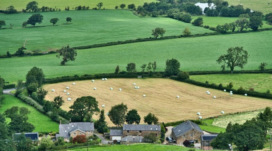 Turismo gastronómico rural: una escapada con sabor auténtico cerca de ti