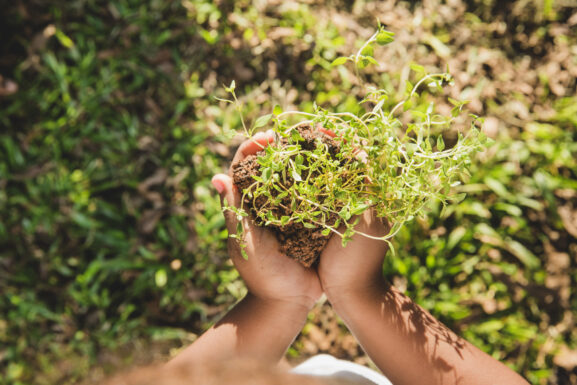 alimentos sin pesticidas